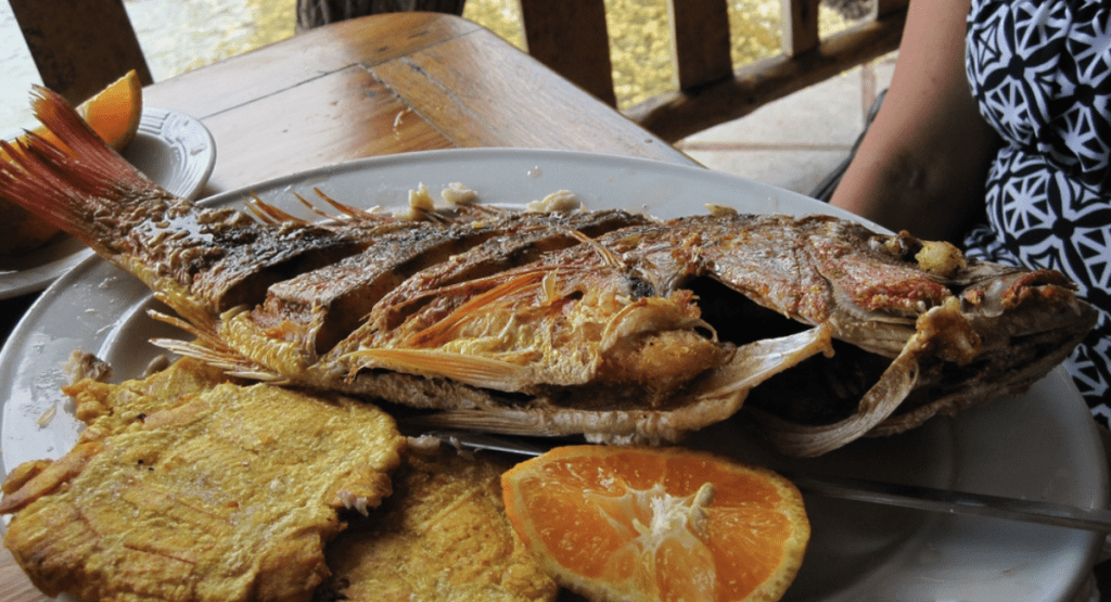 A Taste of Panama: Culinary Delights You Must Try