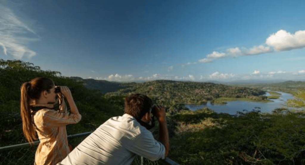 Panama's National Parks: Preserving Natural Beauty